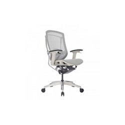 Silla ejecutiva ADVANCE GRIS respaldo Bajo