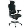 Sillón Ejecutivo Ergohuman en Malla IMRP-9050