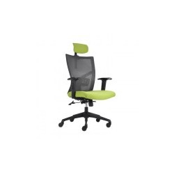 Silla ejecutiva IMBM-3000cc