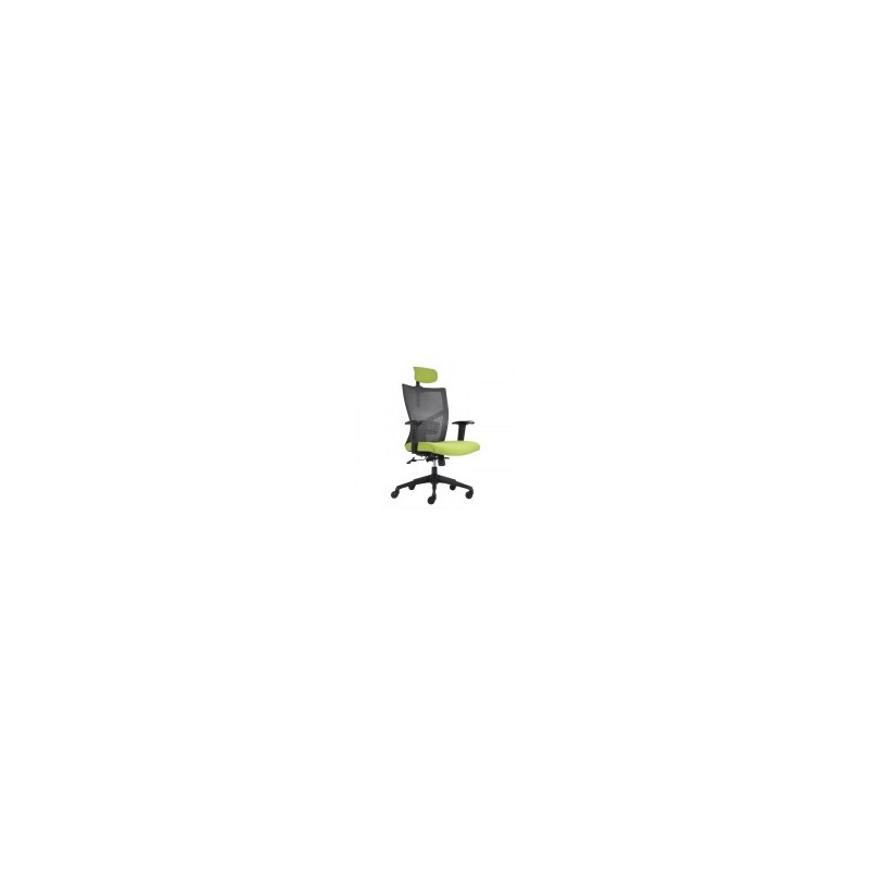 Silla ejecutiva IMBM-3000cc