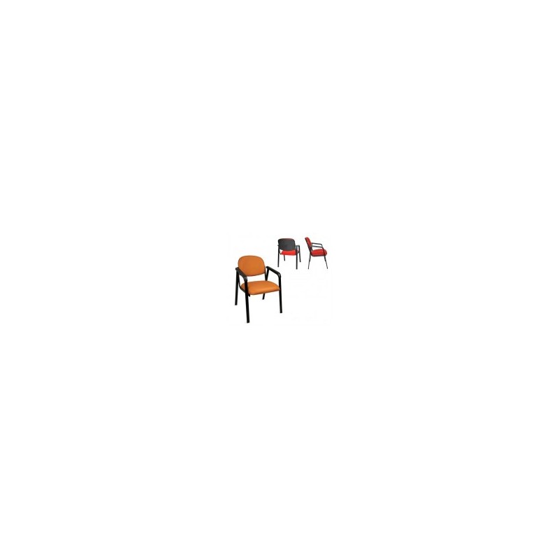 Silla visita BOSTON